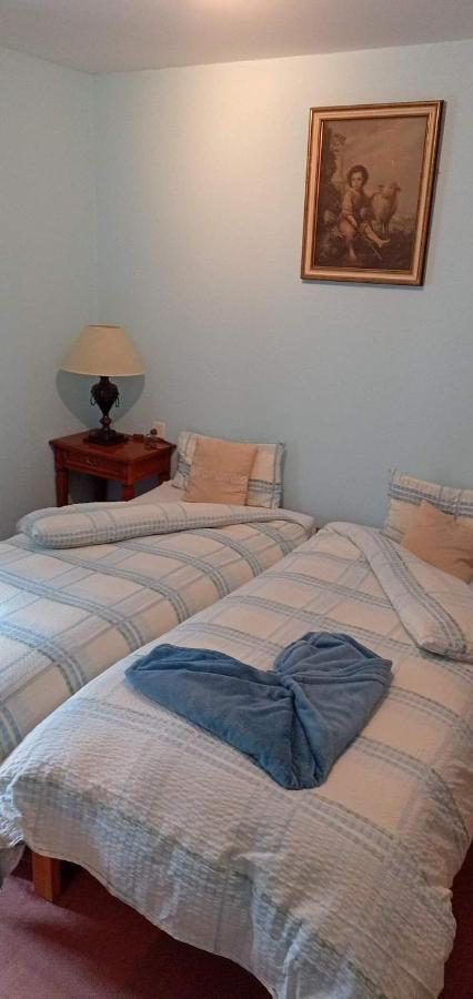 Garni Fluela Susch Hotel Kültér fotó