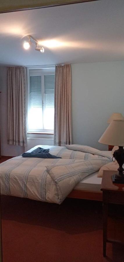 Garni Fluela Susch Hotel Kültér fotó